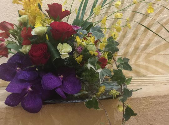 梅雨空に元気を！